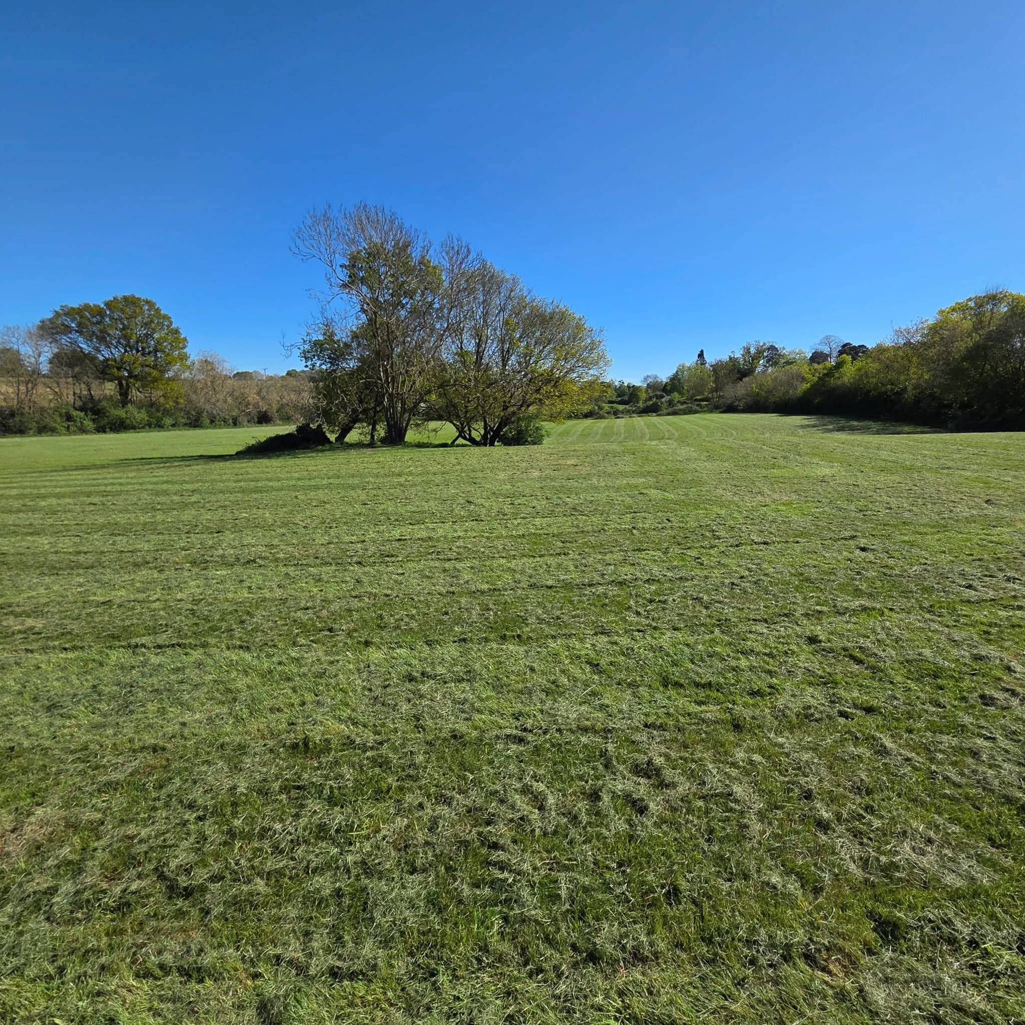 Large-Scale Mowing & Strimming Services - Colchester, Essex